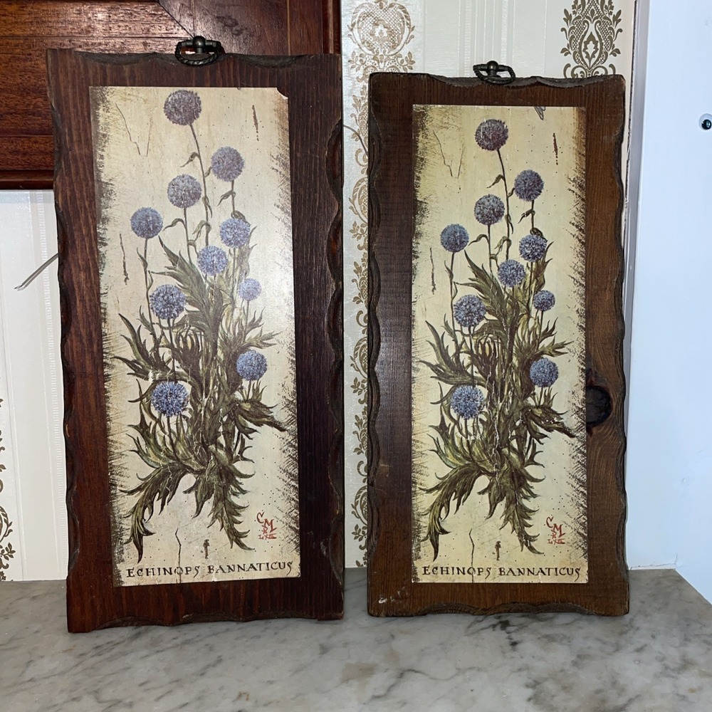 Blue Globe Thistle Echinops bannaticus | Vintage Botanical Decoupage Wood Plaque